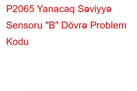 P2065 Yanacaq Səviyyə Sensoru 