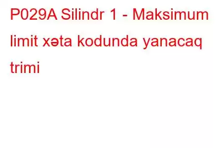 P029A Silindr 1 - Maksimum limit xəta kodunda yanacaq trimi