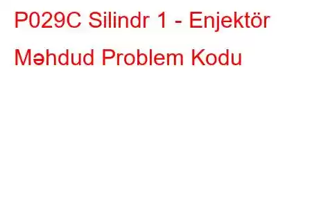 P029C Silindr 1 - Enjektör Məhdud Problem Kodu