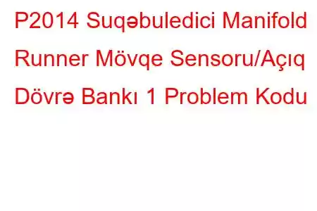 P2014 Suqəbuledici Manifold Runner Mövqe Sensoru/Açıq Dövrə Bankı 1 Problem Kodu