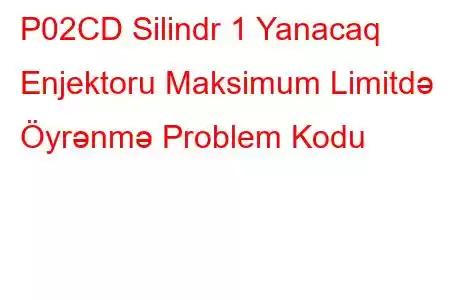 P02CD Silindr 1 Yanacaq Enjektoru Maksimum Limitdə Öyrənmə Problem Kodu