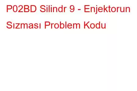 P02BD Silindr 9 - Enjektorun Sızması Problem Kodu