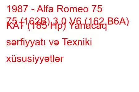 1987 - Alfa Romeo 75
75 (162B) 3.0 V6 (162.B6A) KAT (185 Hp) Yanacaq sərfiyyatı və Texniki xüsusiyyətlər