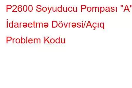 P2600 Soyuducu Pompası 