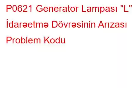 P0621 Generator Lampası 