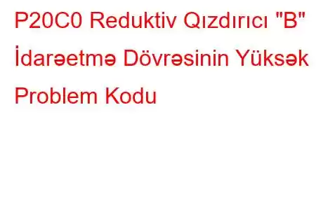 P20C0 Reduktiv Qızdırıcı 