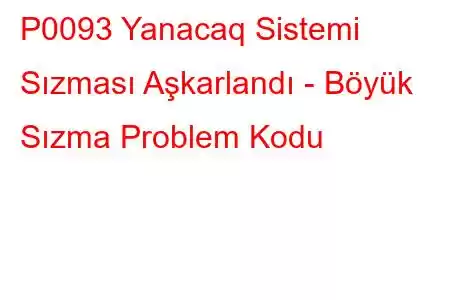 P0093 Yanacaq Sistemi Sızması Aşkarlandı - Böyük Sızma Problem Kodu