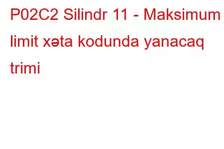 P02C2 Silindr 11 - Maksimum limit xəta kodunda yanacaq trimi