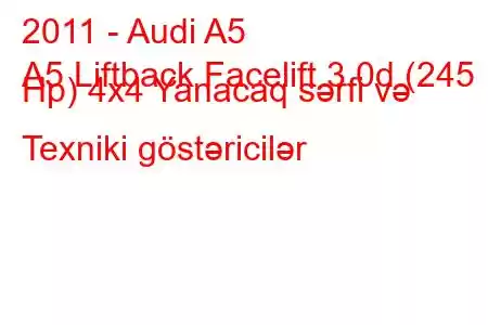 2011 - Audi A5
A5 Liftback Facelift 3.0d (245 Hp) 4x4 Yanacaq sərfi və Texniki göstəricilər