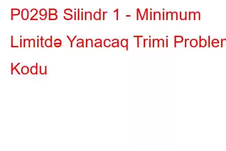 P029B Silindr 1 - Minimum Limitdə Yanacaq Trimi Problem Kodu