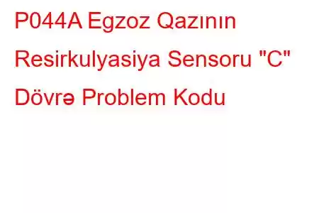 P044A Egzoz Qazının Resirkulyasiya Sensoru 