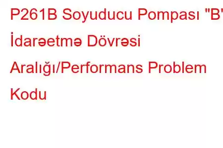 P261B Soyuducu Pompası 