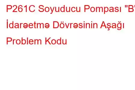 P261C Soyuducu Pompası 